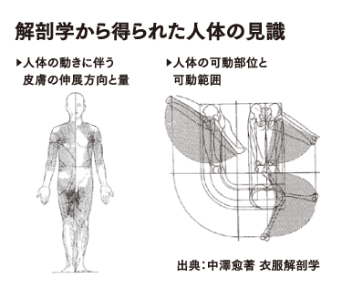 人体解剖図の画像