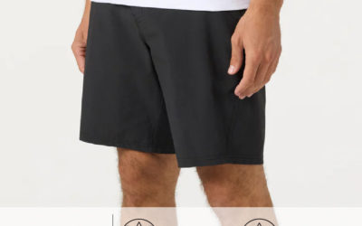 トラベラー エンデューロ ハイブリッド 19インチ