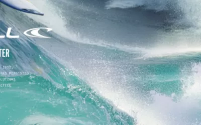 2025 Fall / Winterカタログ公開のお知らせ