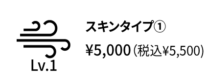 26春夏 オプション スキンタイプ1 アイコン