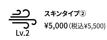 26春夏 オプション スキンタイプ2 アイコン