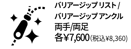 26春夏 オプション バリアージップ アイコン